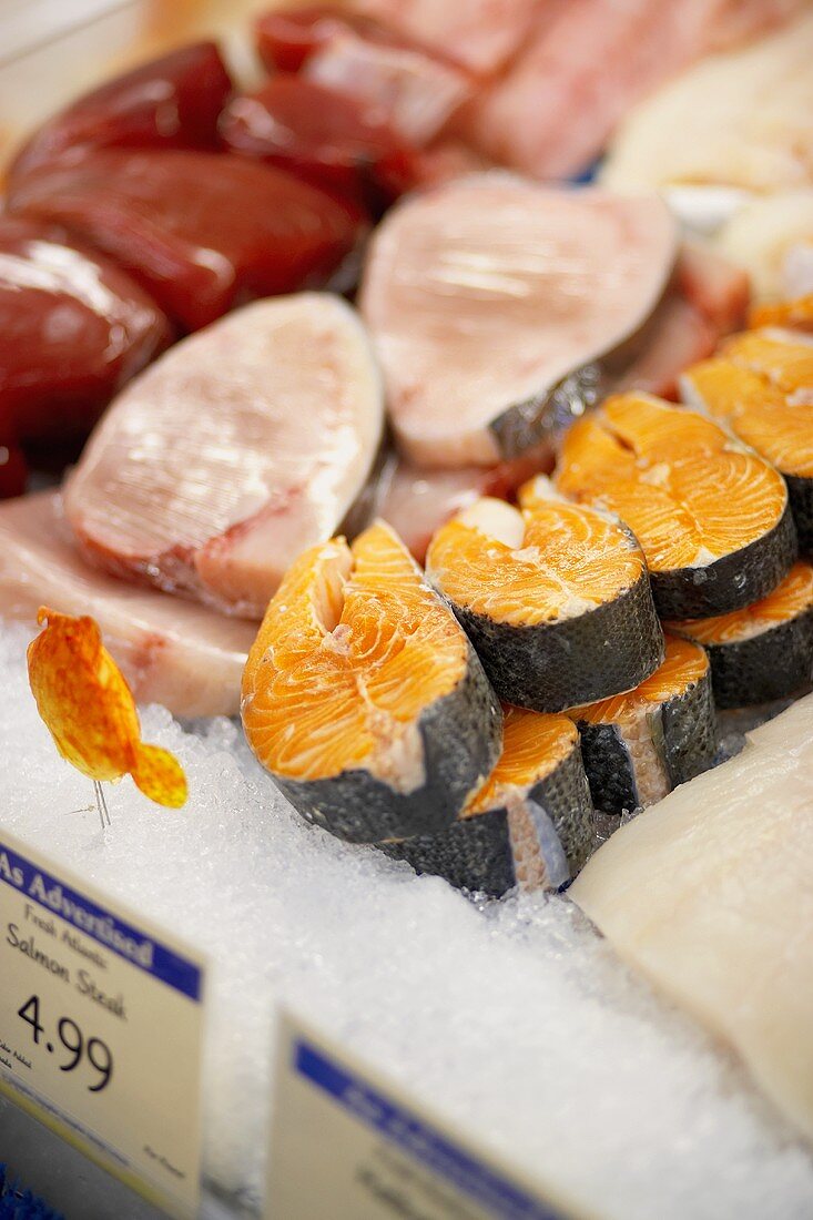 Verschiedene Fischsorten im Supermarkt (USA)