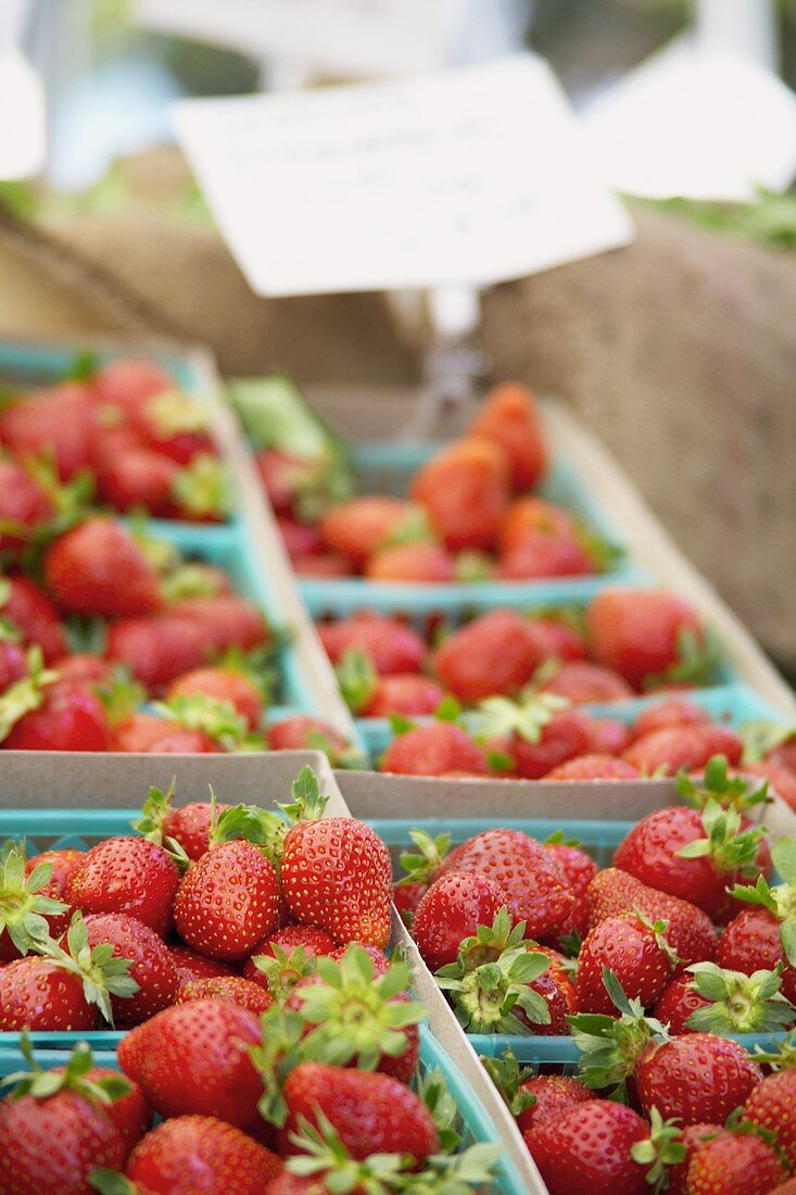 Erdbeeren in Schalen auf einem Markt