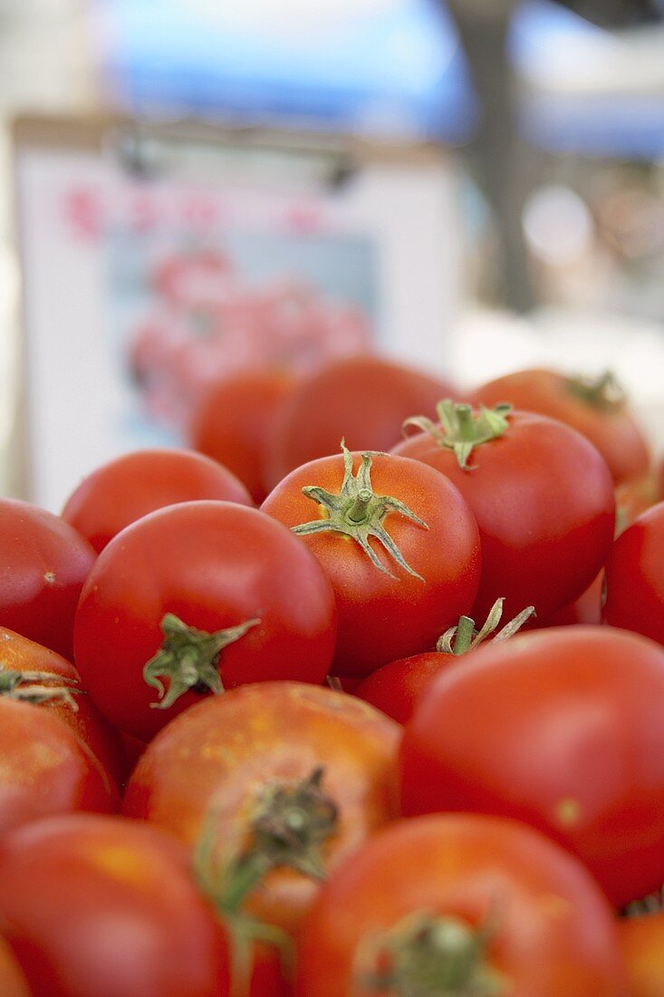 Viele frische Tomaten auf einem Markt