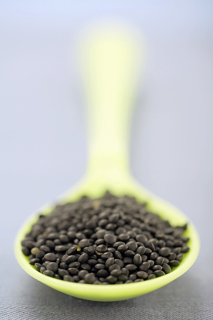 Black lentils on green spoon