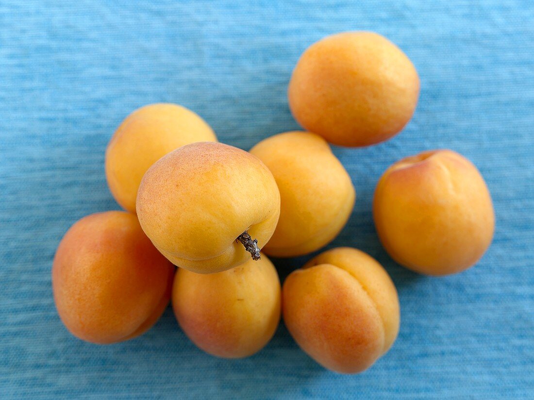 Several apricots on blue background (overhead view)