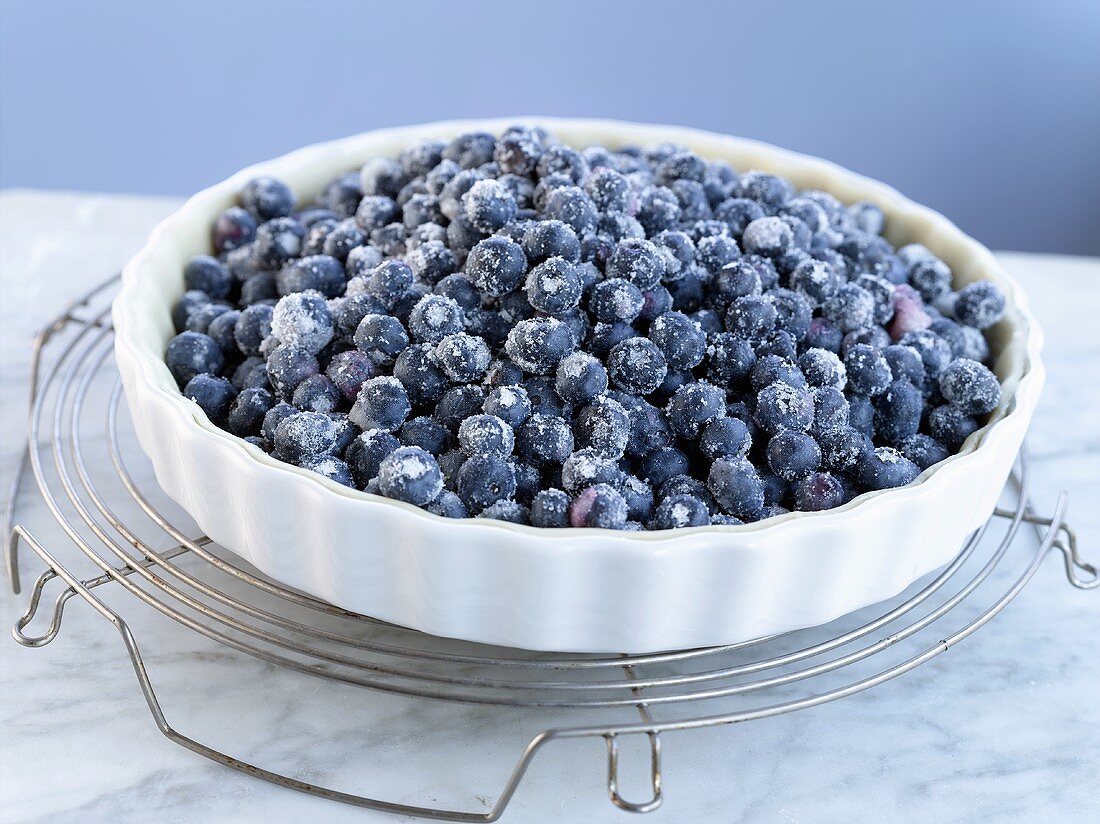 Blueberry pie, unbaked, on cake rack (USA)