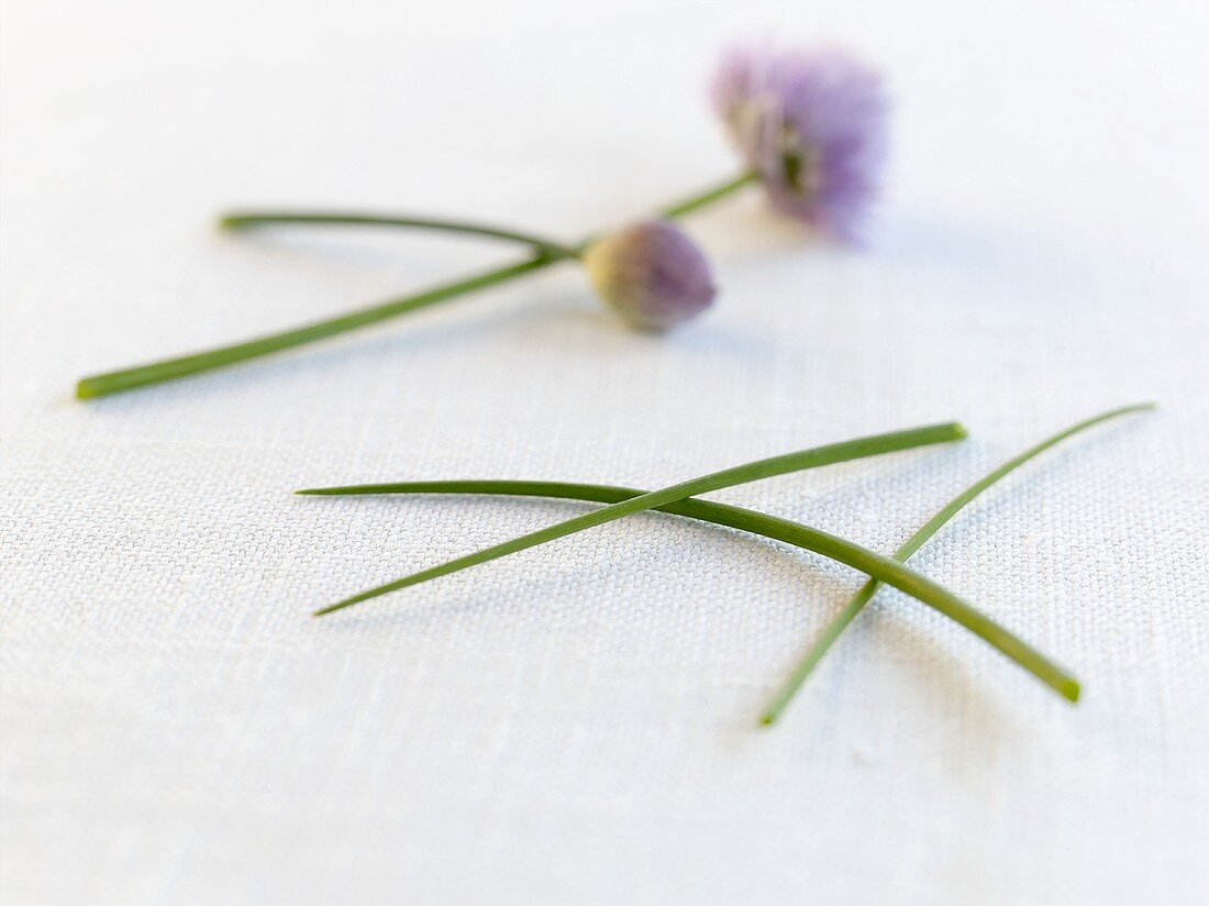 Fresh chives, two with flowers