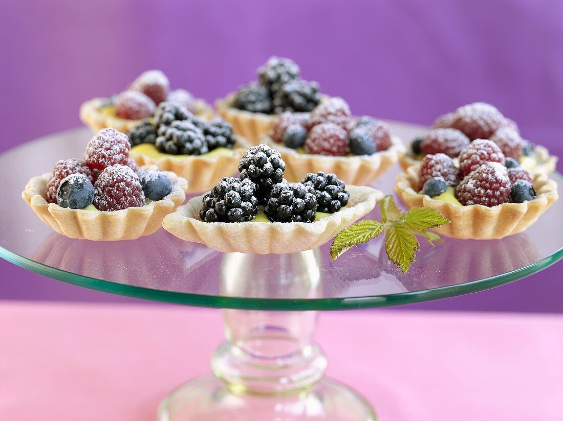 Several berry tarts with vanilla cream and icing sugar