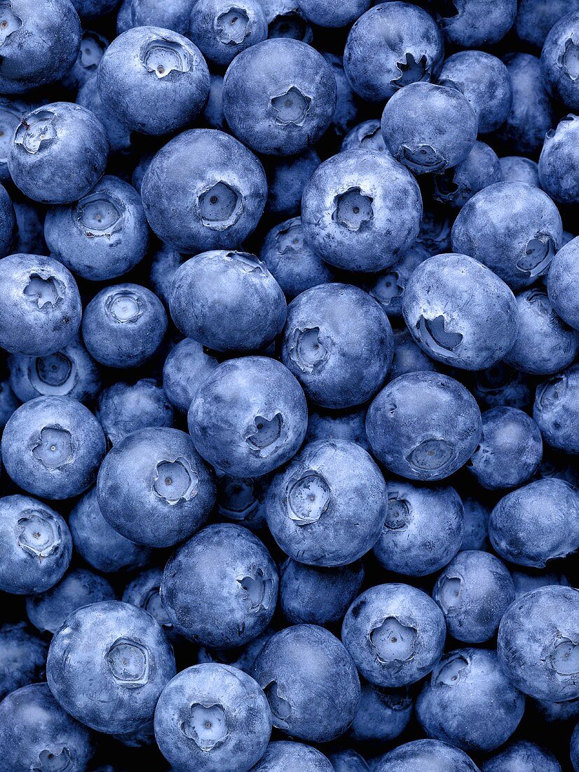 Many blueberries (full-frame)