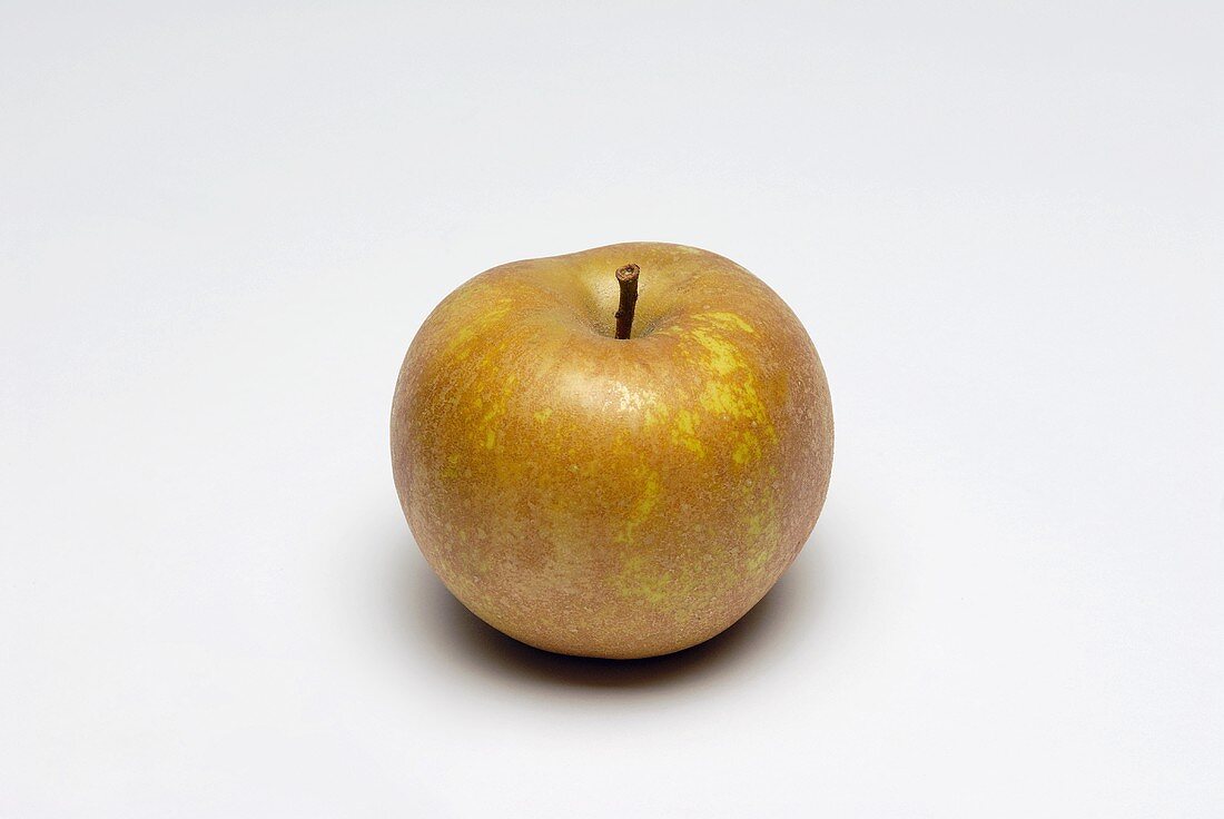 Ein Golden Russet Apfel
