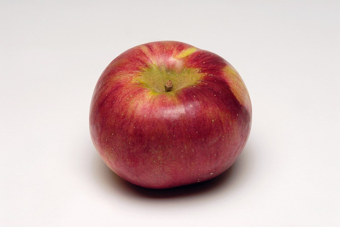 Ein roter Apfel (Sorte: Cortland)