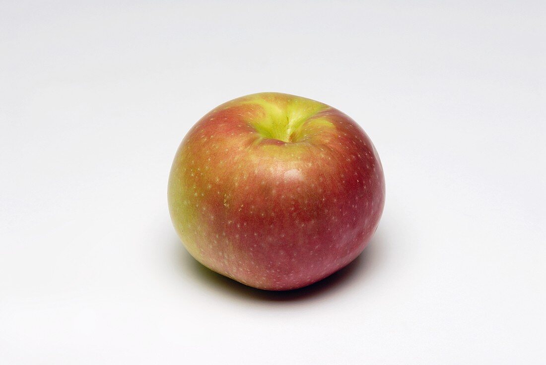 Ein McIntosh Apfel