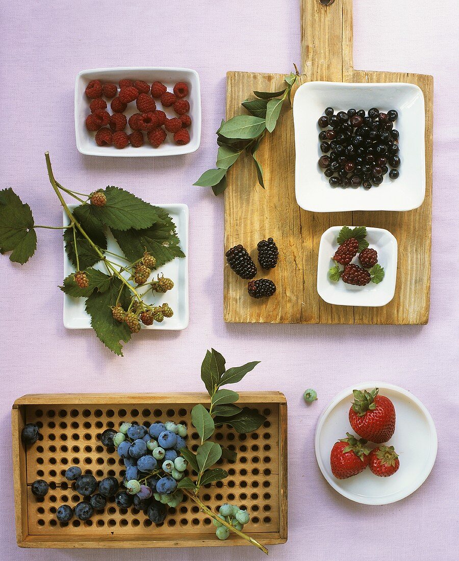 Various types of berries