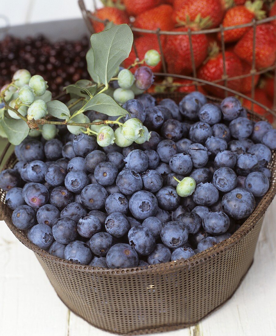 Korb mit Heidelbeeren, dahinter Erdbeeren