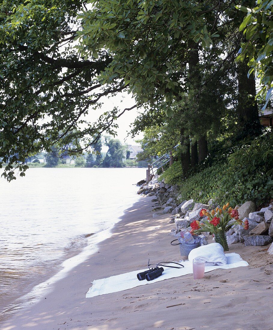 Picknick mit Getränken am Ufer eines Flusses