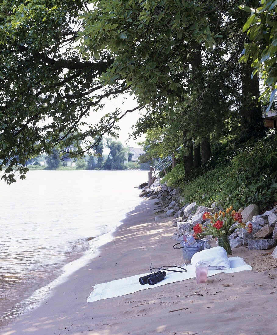 Picnic with drinks on a river bank