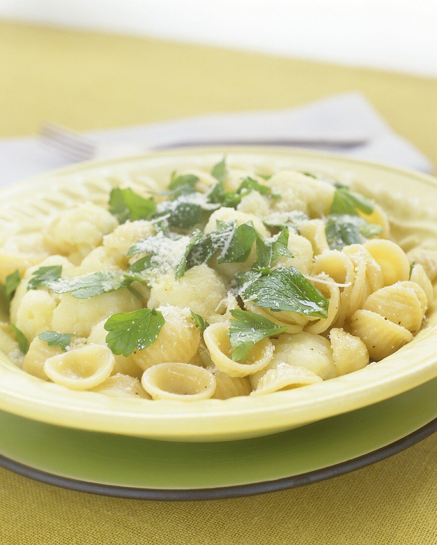 Orecchiette mit Parmesan und Petersilien