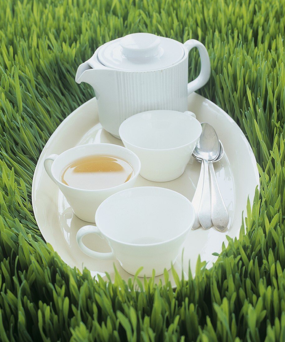 Wheatgrass tea