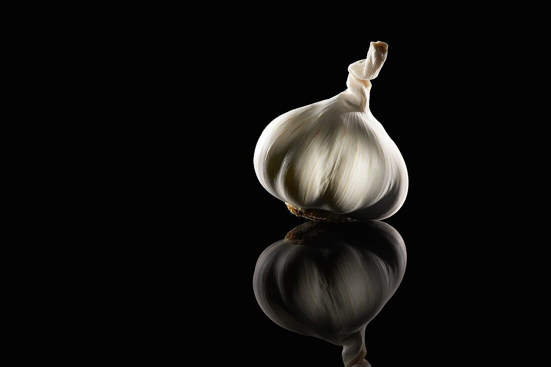 Garlic Bulb on a Black Background with Reflection