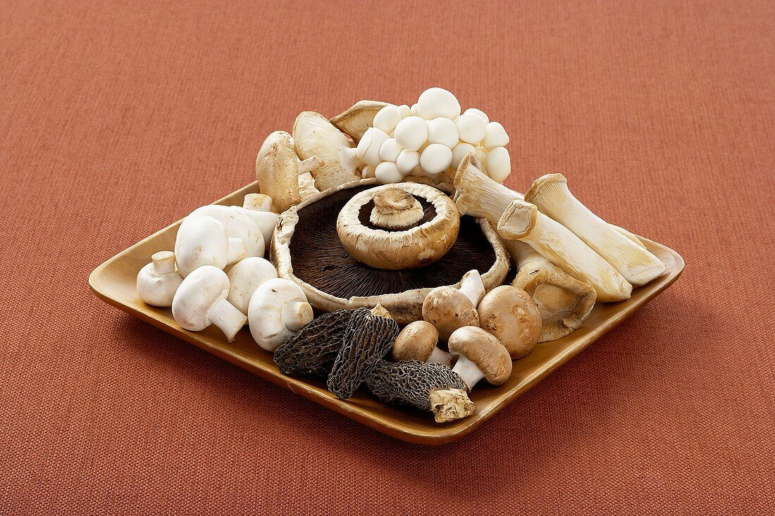An Assortment of Mushrooms on a Square Platter