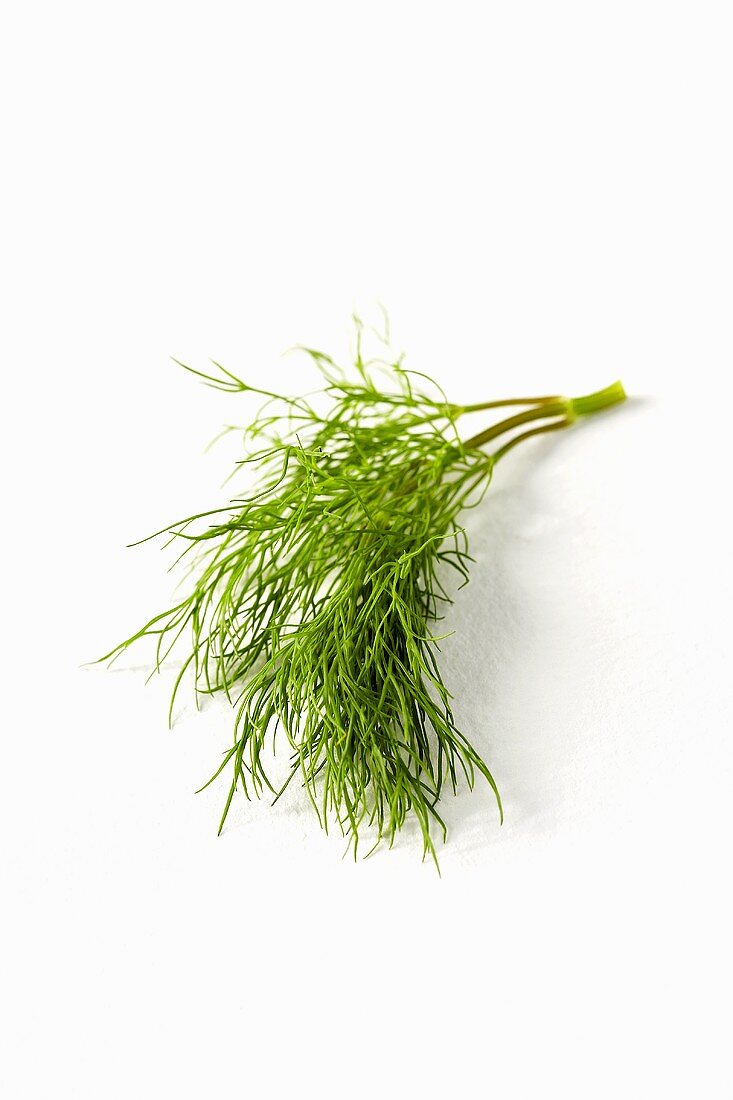 Dill on a White Background
