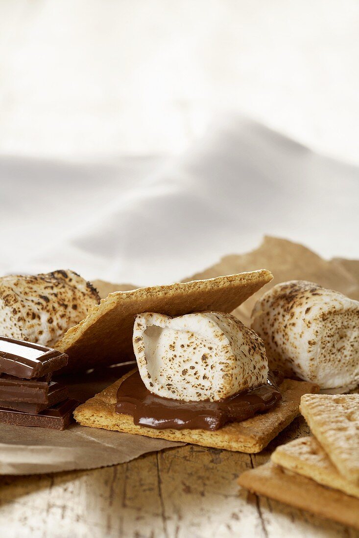 S'more with Ingredients
