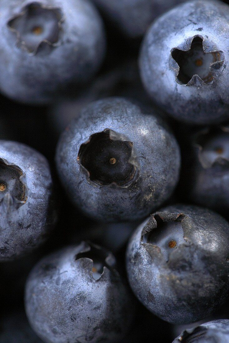 Close Up of Fresh Blueberries