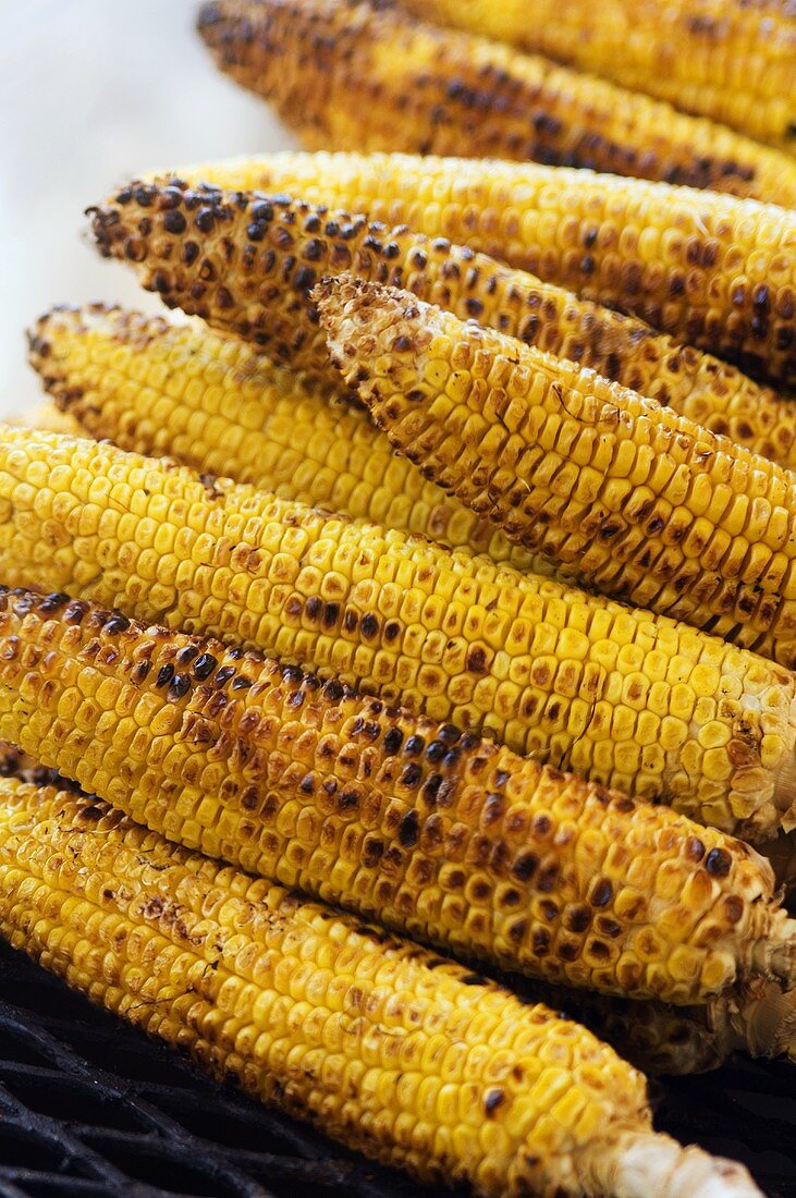 Grilled Corn on the Cob