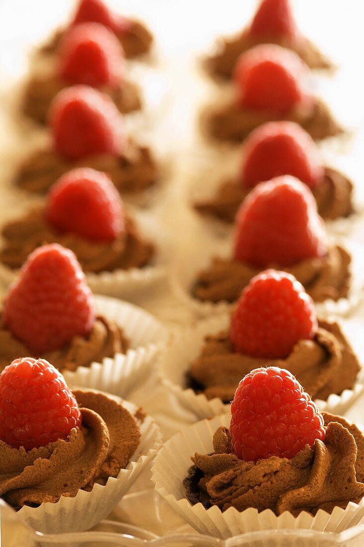Chocolate Mousse Tartlets with Raspberries