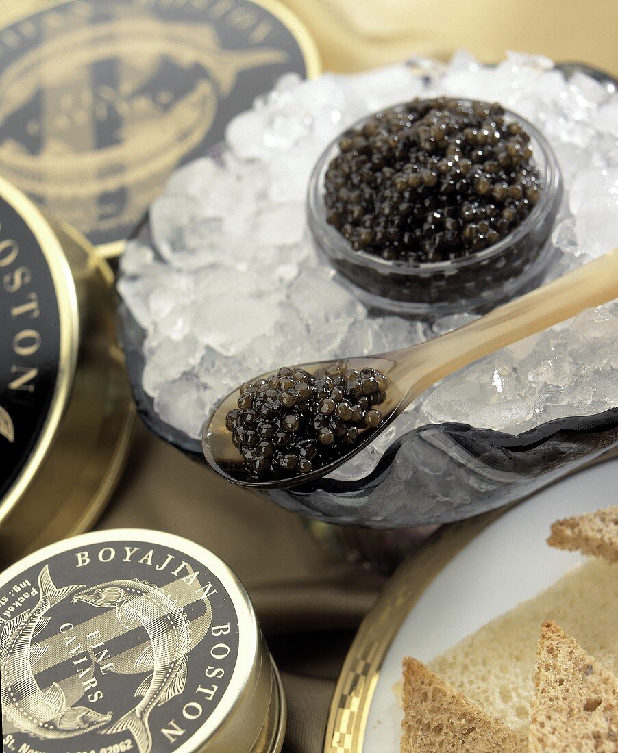 Belugakaviar der Firma 'Boyajian Boston' auf Eis