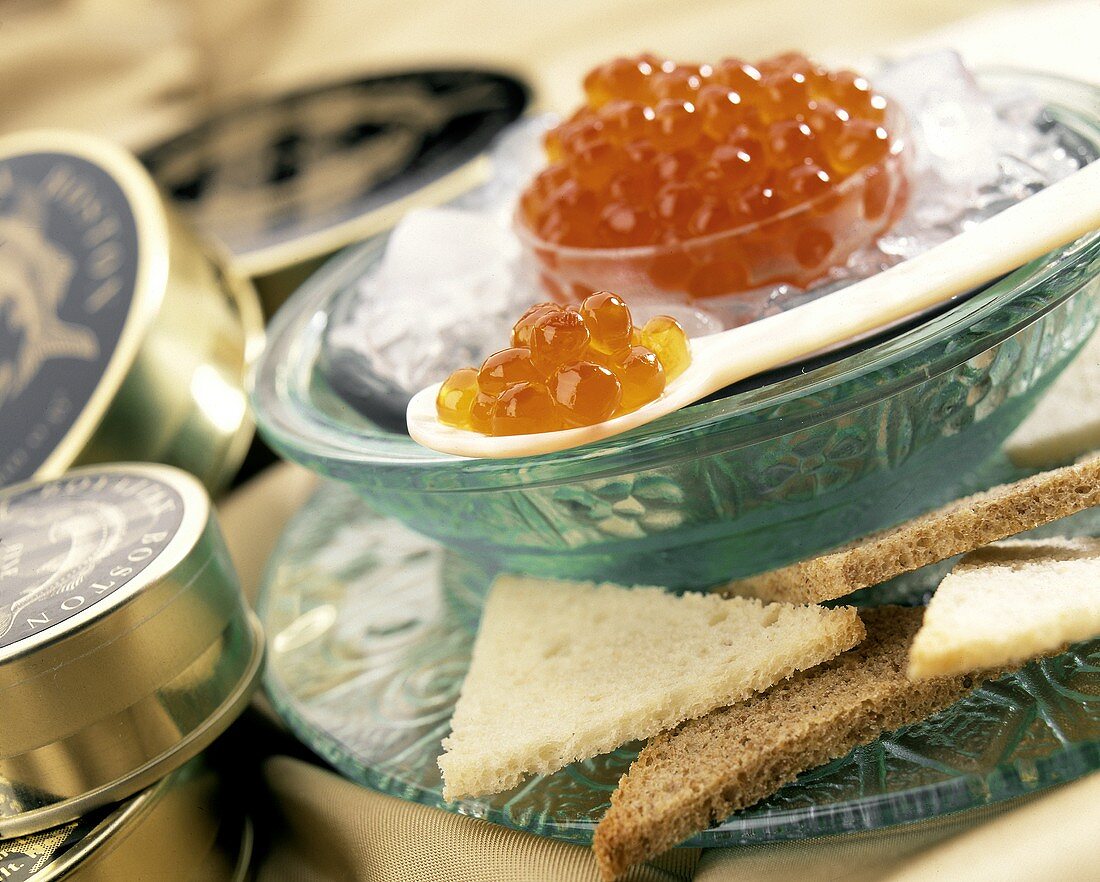 Lachskaviar auf Eis; Brotecken; Kaviardosen
