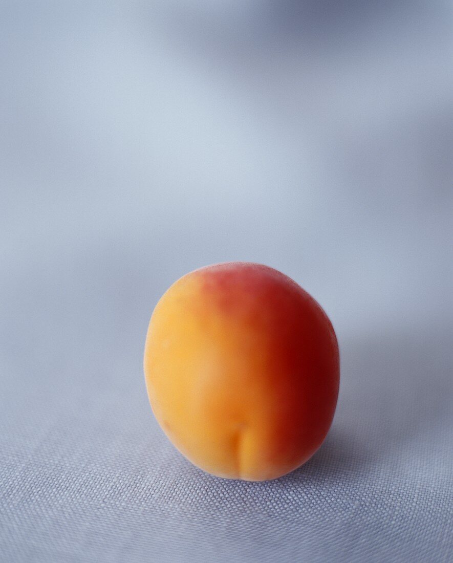One Apricot