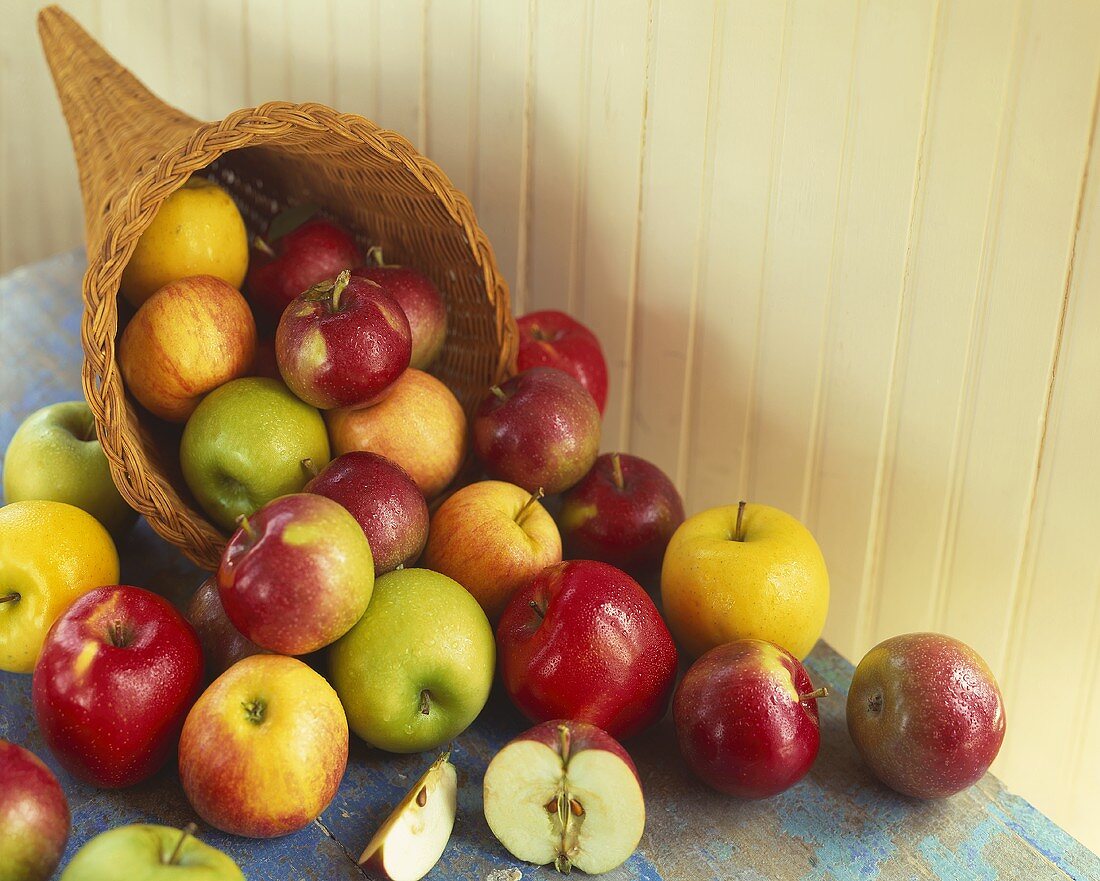 Still Life: Apples in a Cornucopia Basket