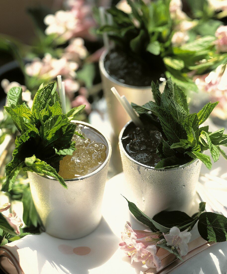 Mint Juleps in Traditional Cups