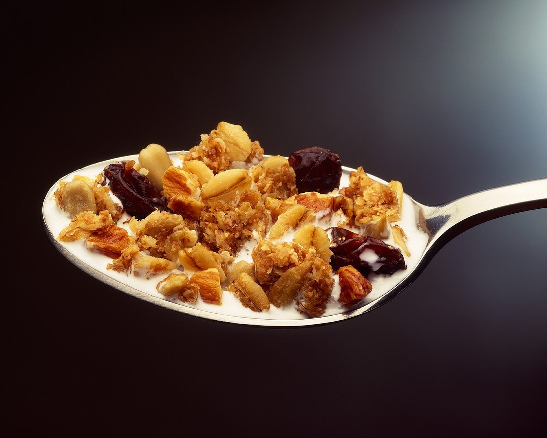 Muesli on a Spoon