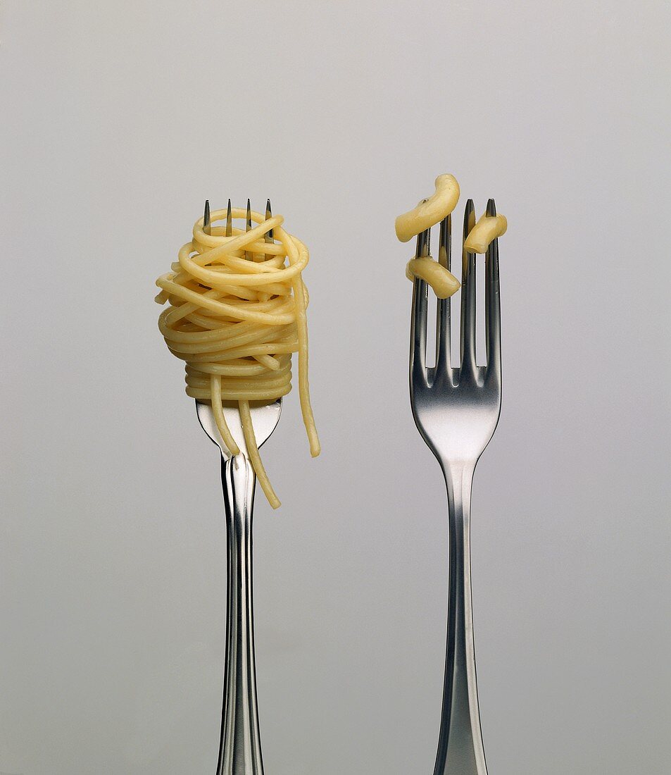 Spaghetti & Hörnchennudeln auf zwei Gabeln