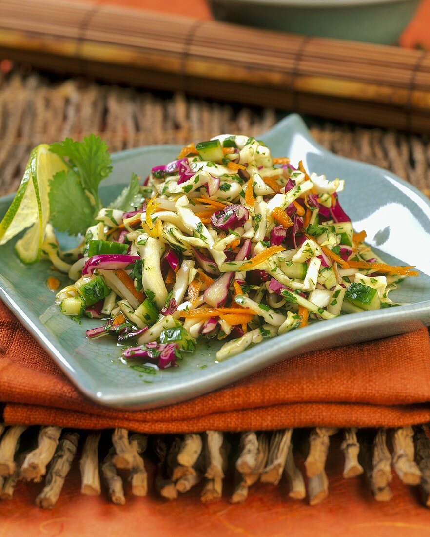 Mixed Vegetable Asian Salad