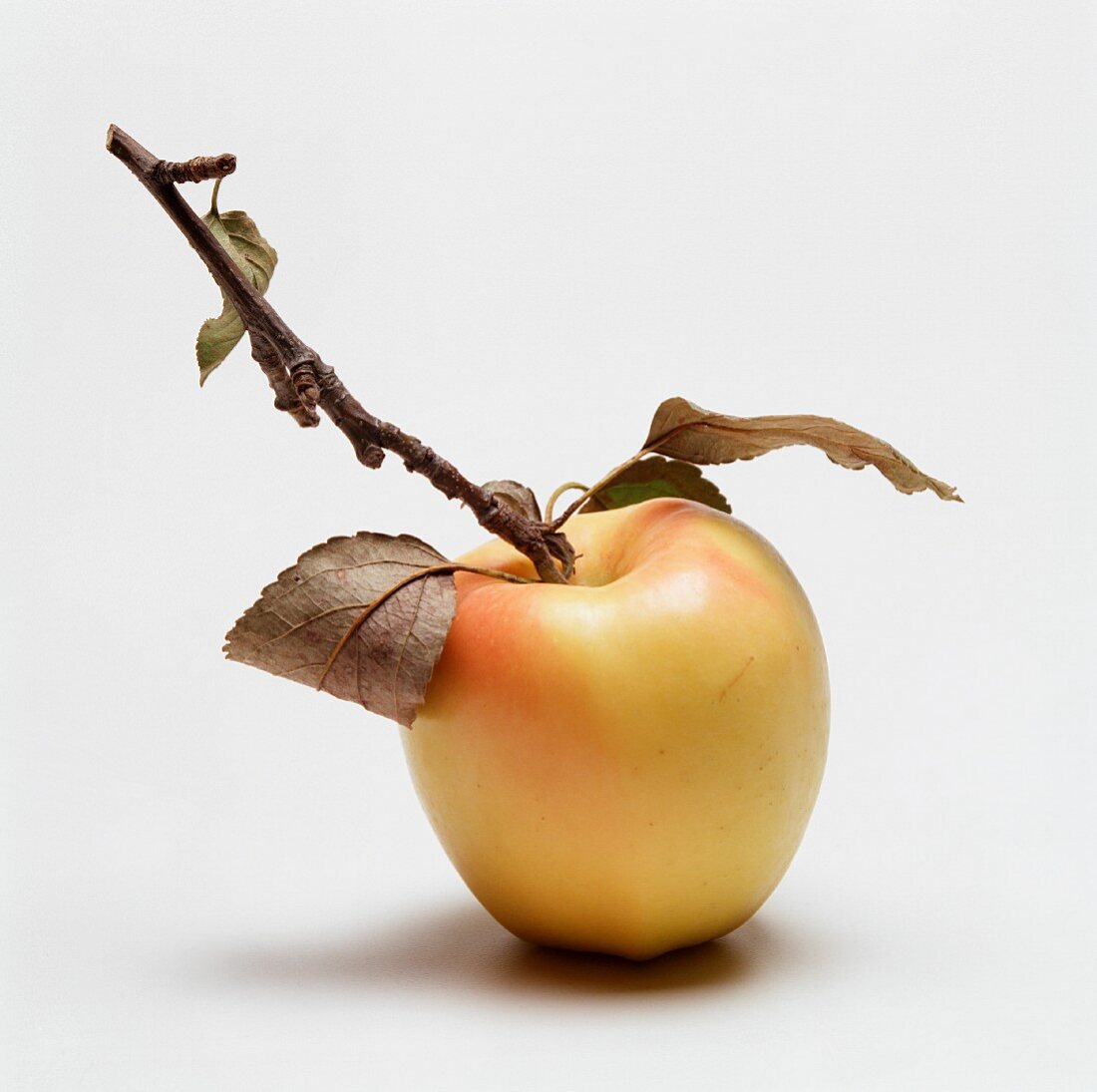 Golden Delicious Apple with Stem and Leaves