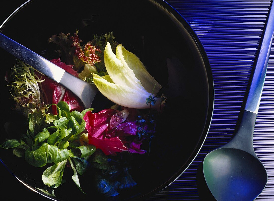 Colorful Salad of Assorted Lettuce