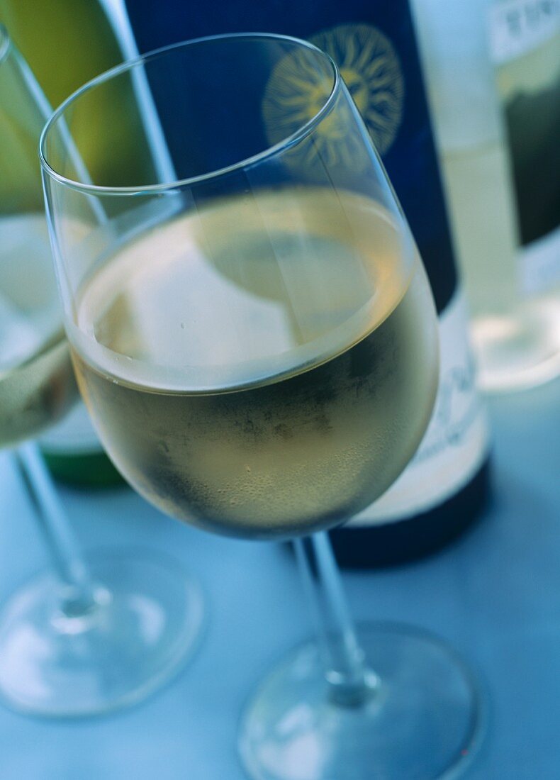 Glass of White Wine