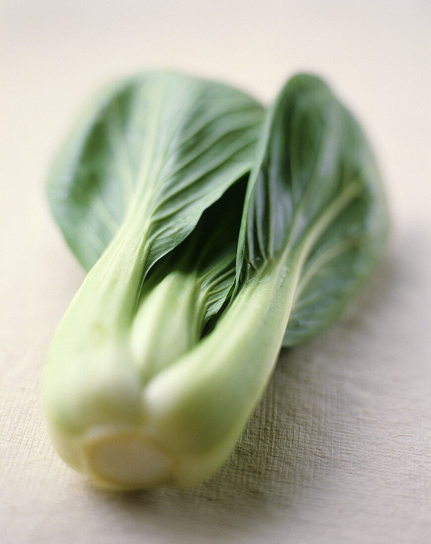 Frischer Pak Choi