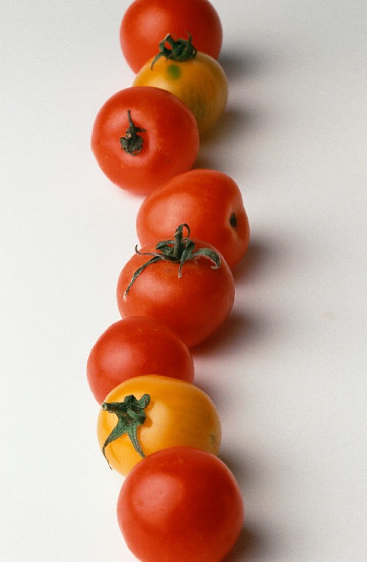 Red and Yellow Cherry Tomatoes in a Row