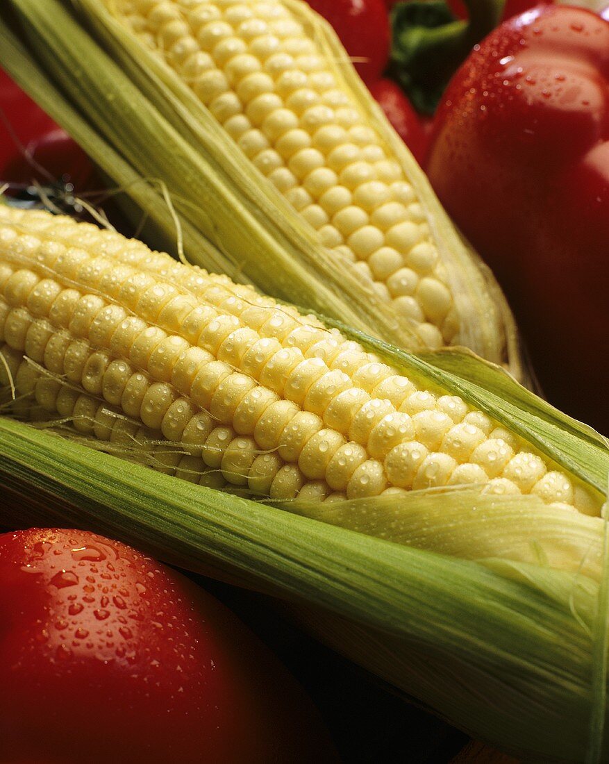 Maiskolben mit Wassertropfen zwischen Paprikaschoten