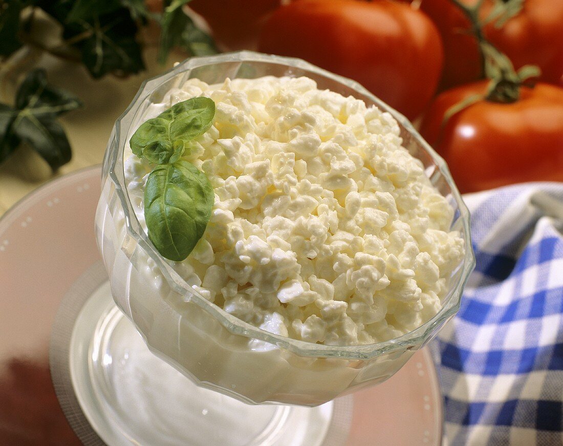 Cottage Cheese in Glasschale, Tomaten, Kräuter