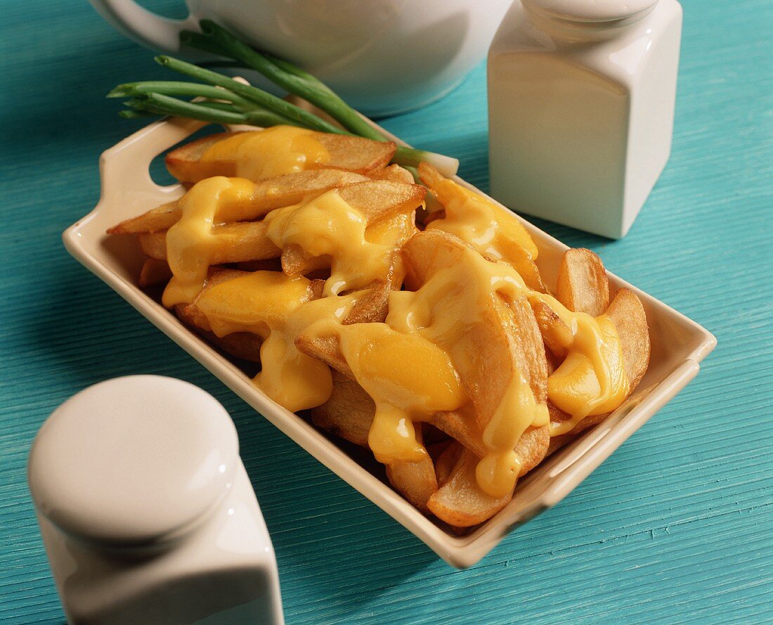 French Fries with Cheddar Cheese Sauce in a Dish