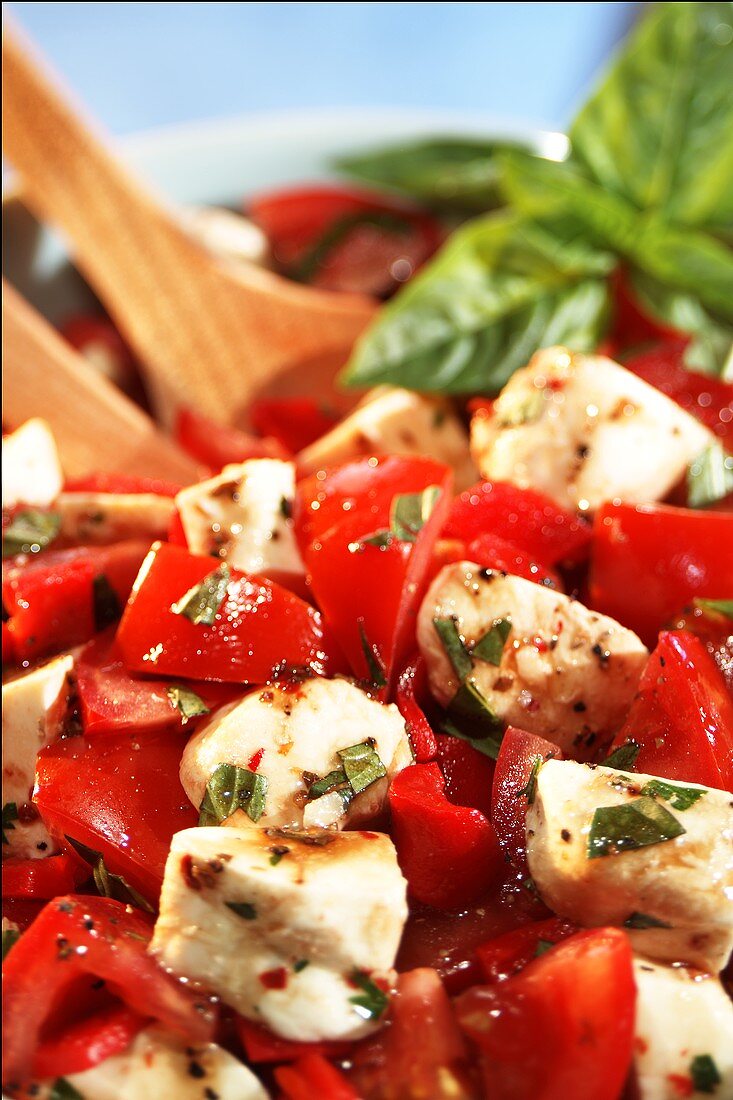 Tomato and Mozzarella Salad