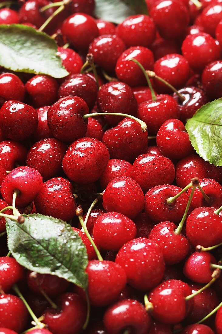 Bing Cherries with Water Drops
