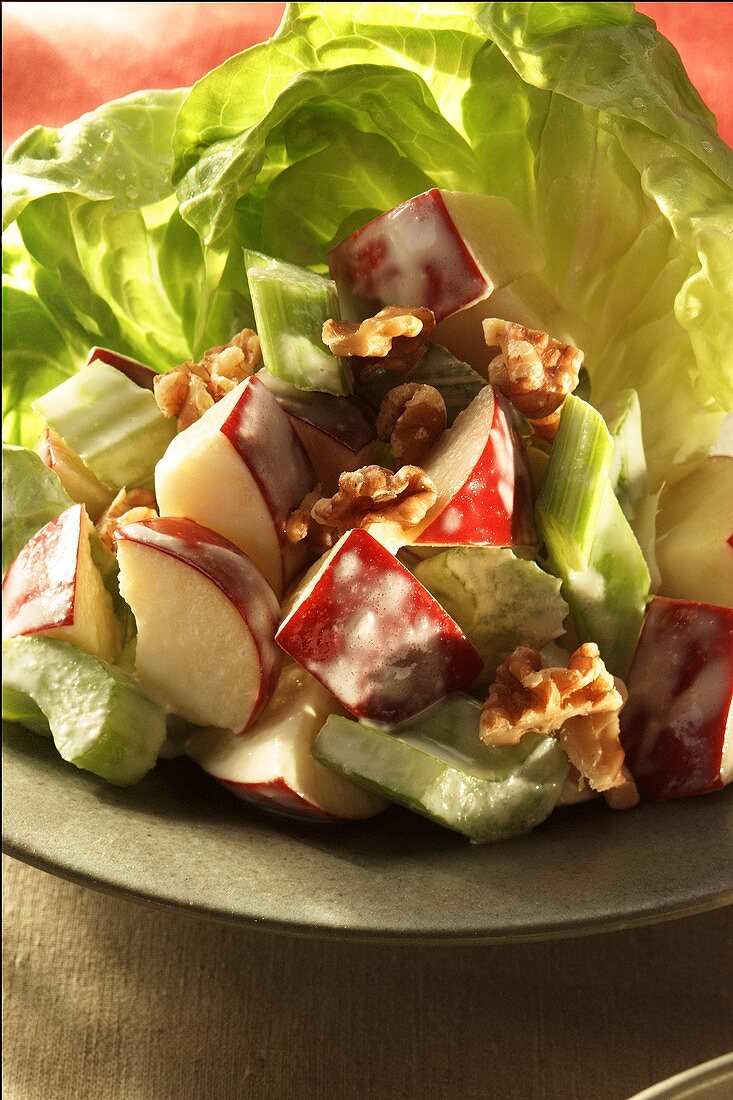 Waldorf Salad on a Bed of Lettuce