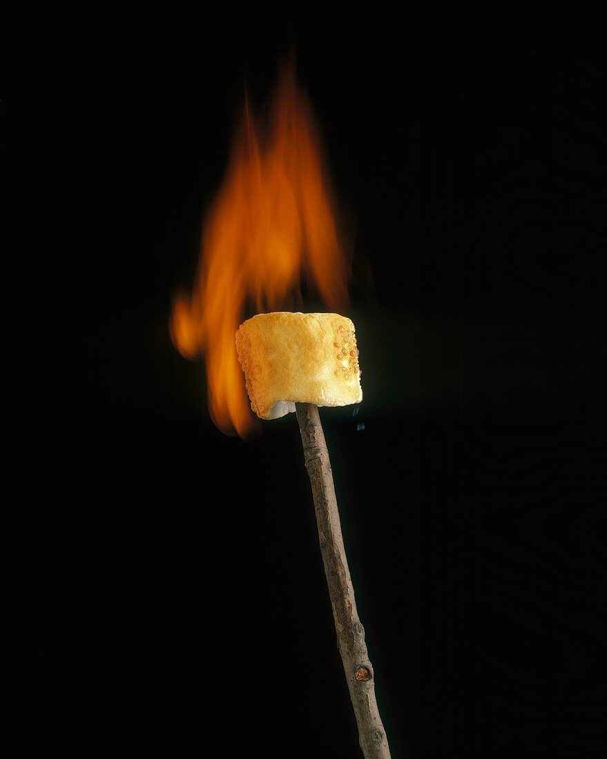 Flaming Marshmallow on a Stick