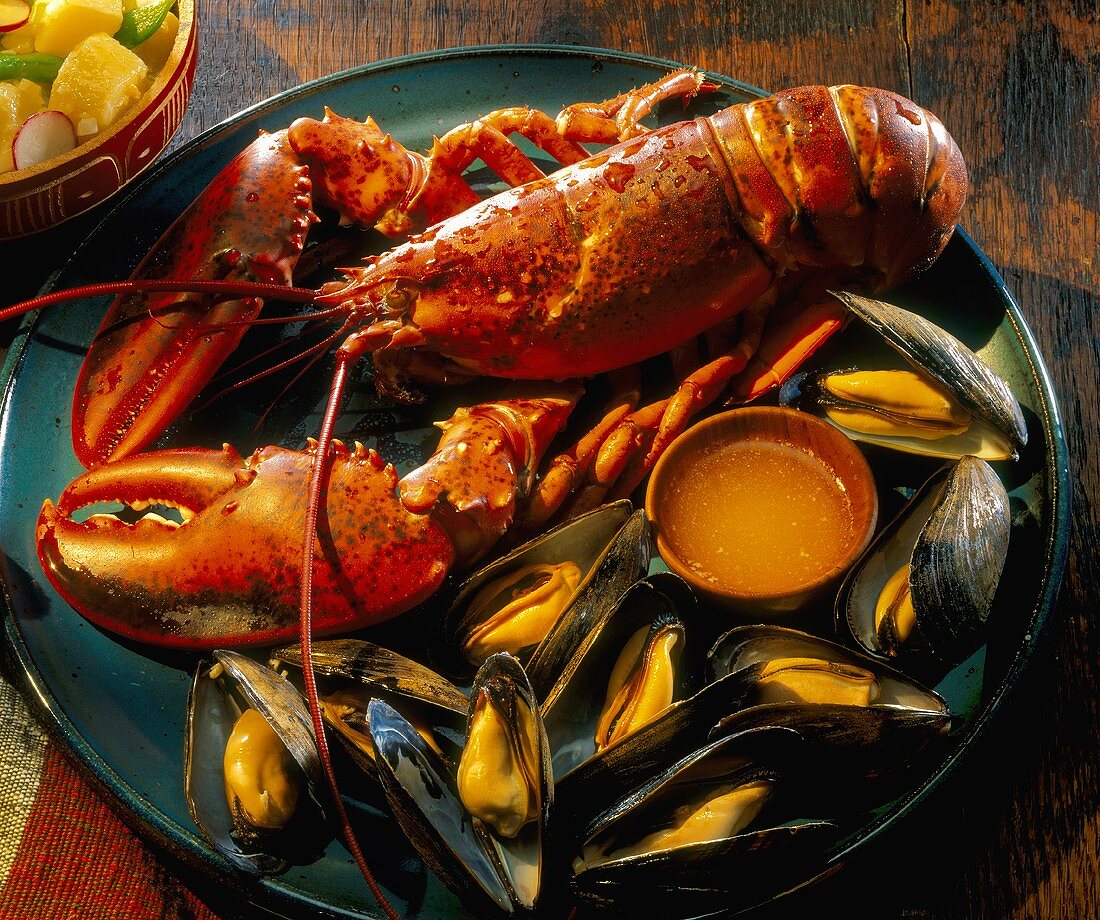 Cooked Lobster with Mussels and Drawn Butter