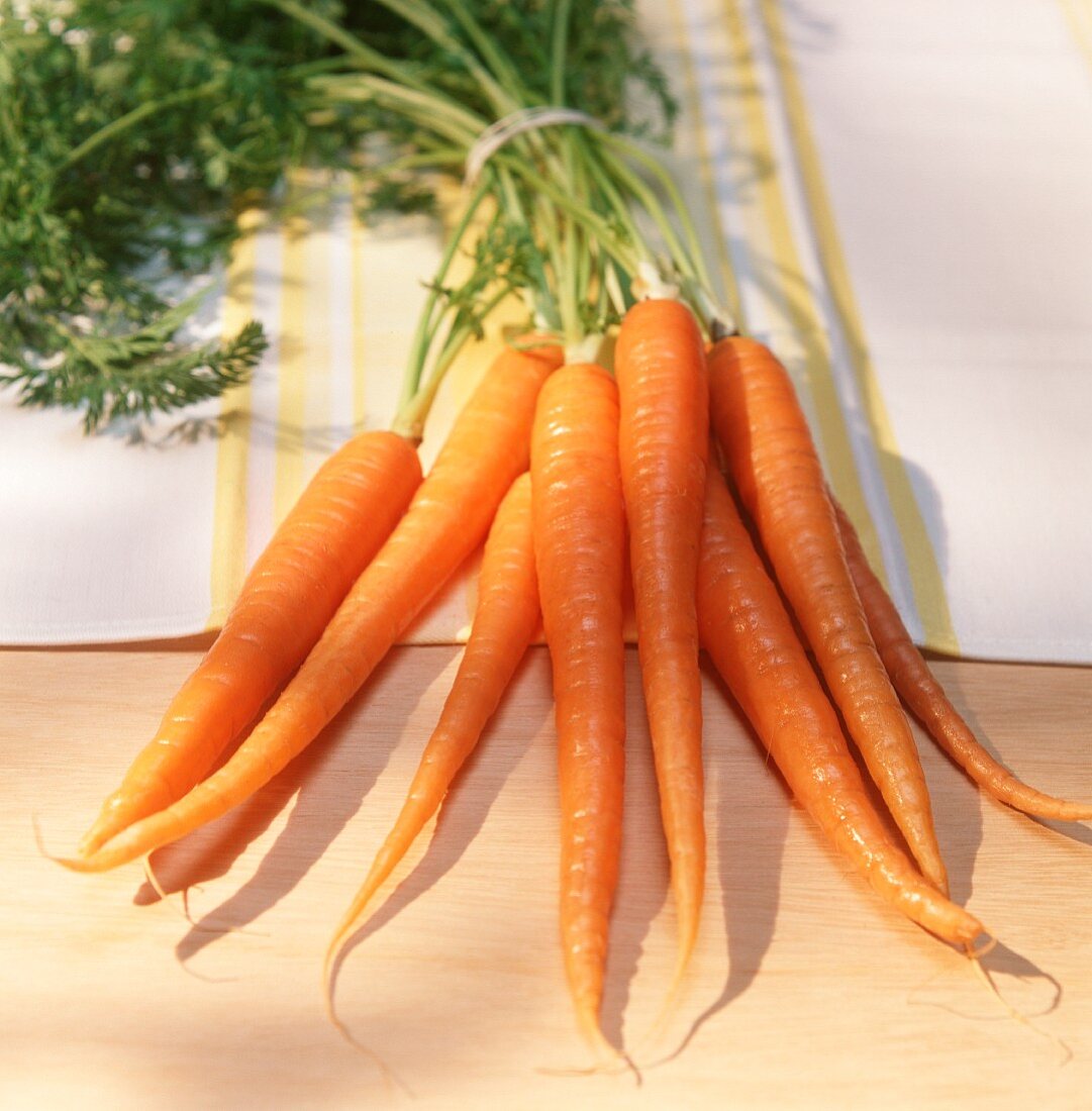 Bunches of fresh carrots