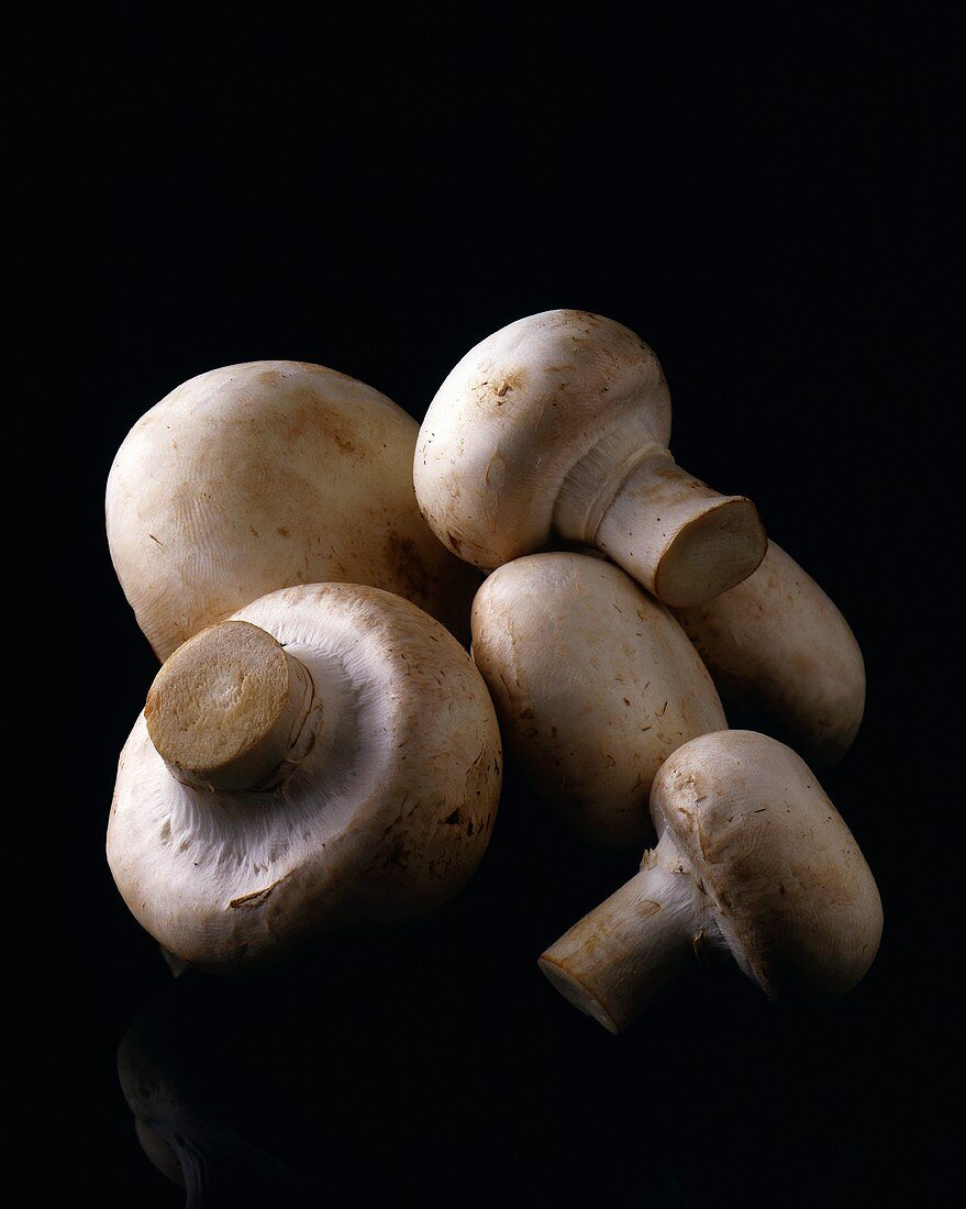 White Button Mushrooms