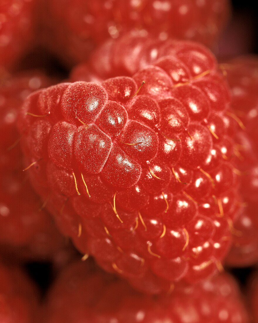 Raspberry Close Up