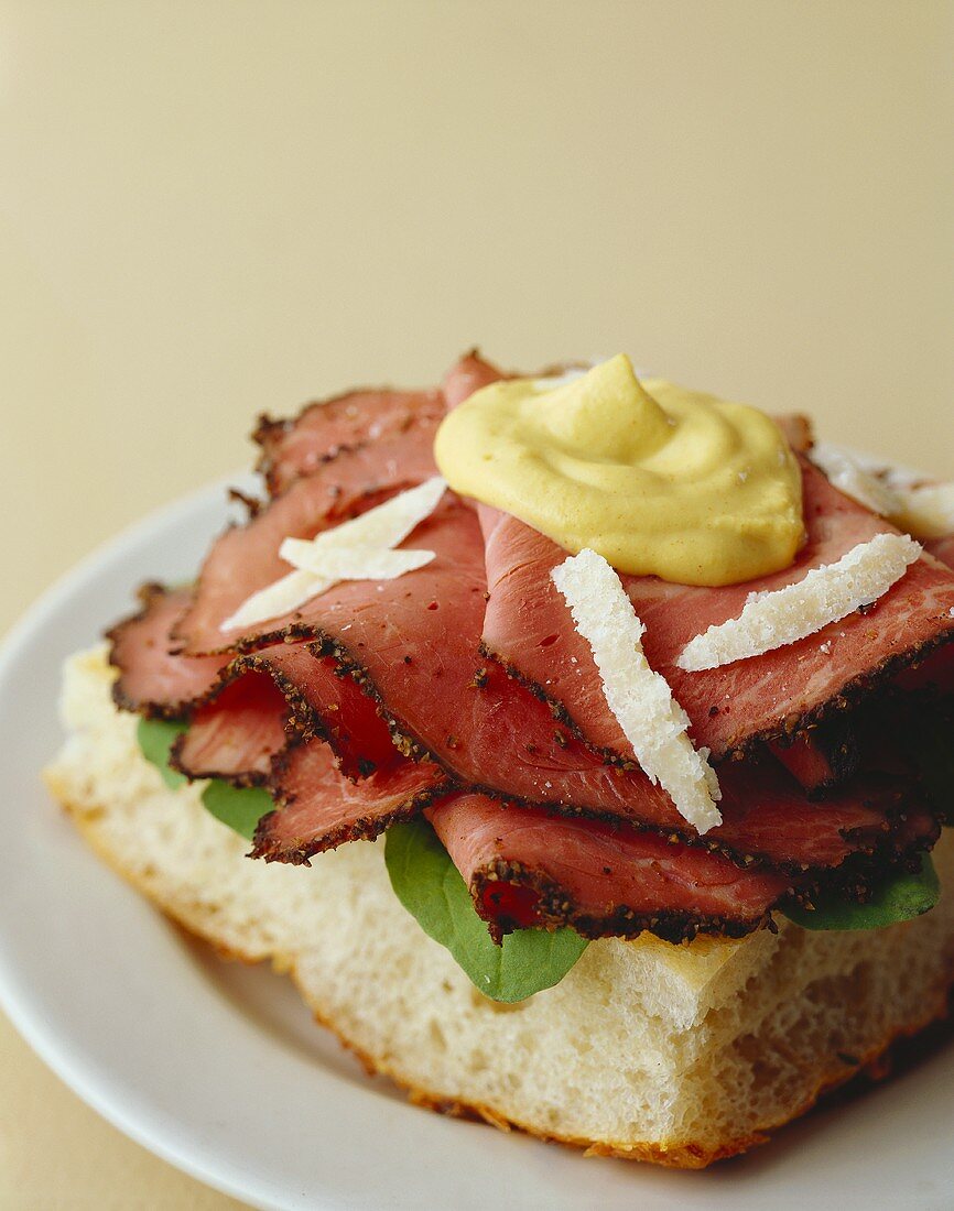 Open-faced Pastrami Sandwich with Mustard
